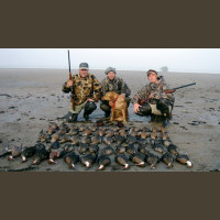 Chasse aux Canards en Argentine