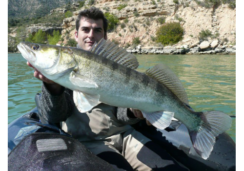 Pêche du sandre en Espagne