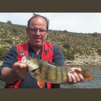 Pêche du sandre en Espagne