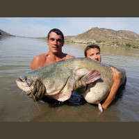 Pêche du Silure en Espagne-Méquinenza