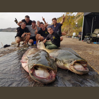 Pêche du Silure en Espagne-Méquinenza