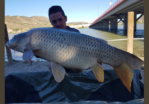 Pêche de la Czrpe en Espagne