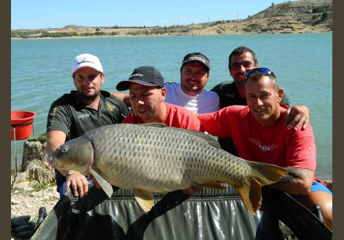 Pêche de la Carpe en Espagne-Méquinenza