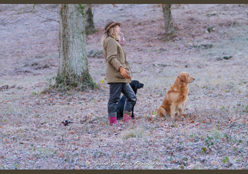 Chasse des Petits Domaines en Sologne