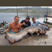 Pêche du Silure en Espagne