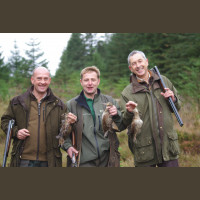 Chasse Aux Bécasses en Irlande