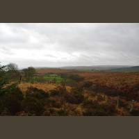 Chasse Aux Bécasses en Irlande