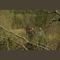 Chasse Aux Bécasses en Irlande