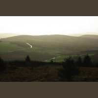 Chasse Aux Bécasses en Irlande