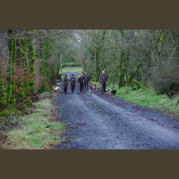 Chasse Aux Bécasses en Irlande