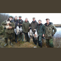Chasse Aux Bécasses en Irlande