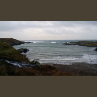 Chasse Aux Bécasses en Irlande