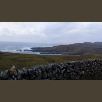 Chasse Aux Bécasses en Irlande