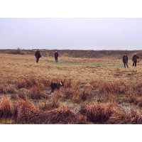 Chasse Aux Bécasses en Irlande