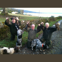 Chasse Aux Bécasses en Irlande