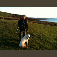 Chasse Aux Bécasses en Irlande