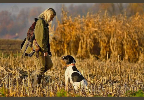 Chasse des Petits Domaines en Sologne
