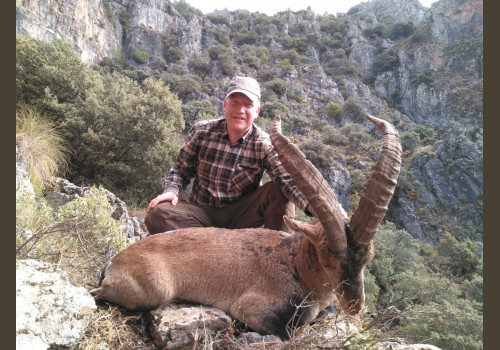 Approche Espagne Beceite Ibex