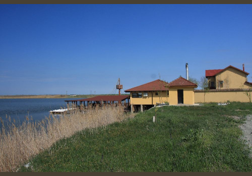 Gibier d'eau Delta du Danube en Roumanie