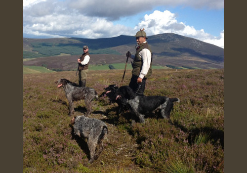 Séjour de chasse Devant-soi aux Grouses Ecosse Dunkeld Highland 2020