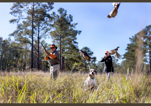 Domaine de la Briganderie Journée de Chasse VIP au Petit Gibier 2020-2021