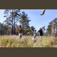 La Briganderie Chasse à la Journée au Petit Gibier Devant Soi 2020-2021
