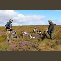 Séjour Bécasses en Ecosse sur l'Archipel Nord des Highlands 2020-2021