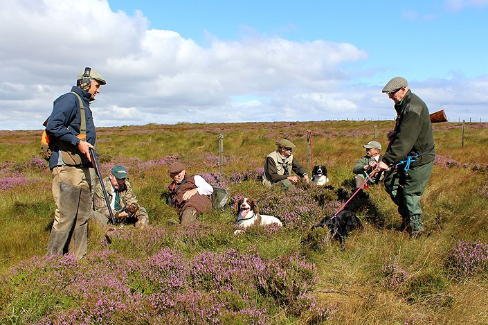 Séjour de Chasse aux Grouses Ecosse les Highlands 2020 2021