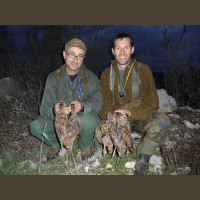Séjour de chasse aux Bécasses au Pays de Galles 2020-2021