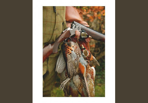 La Briganderie - Chasse à la journée au Petit Gibier en Sologne "La Chambord" 2023-2024