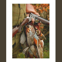 La Briganderie - Chasse à la journée au Petit Gibier en Sologne "La Chambord" 2023-2024