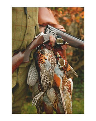 La Briganderie - Chasse à la journée au Petit Gibier en Sologne "La Chambord" 2023-2024